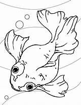 Free Printable Fish Coloring Pages For Kids sketch template