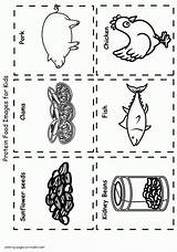 Fish Food Coloring Pages sketch template