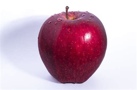 One Red Apple With Water Droplets - High Quality Free Stock Images