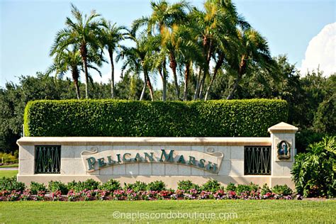 Pelican Marsh is a Tropical Oasis in Naples