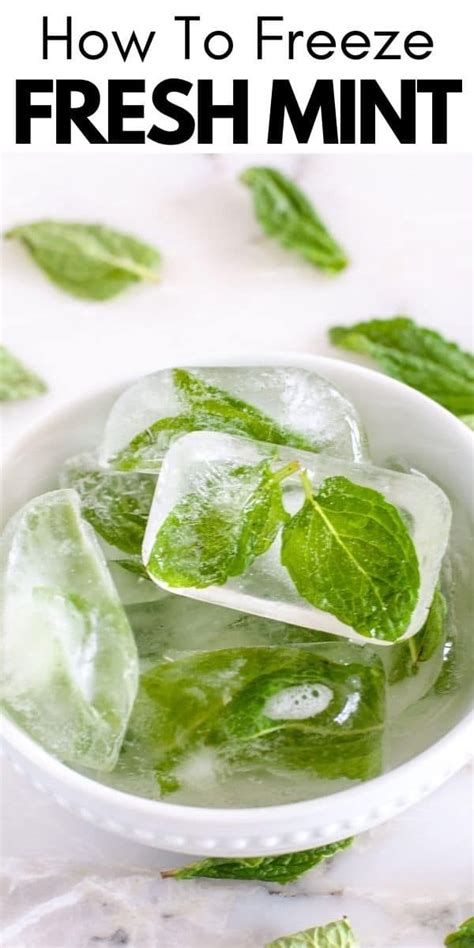 Mint Recipes, Herb Recipes, Cooking Recipes, Fresh Mint Tea, Fresh Mint ...