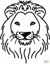 Coloriage  Portrait De lion Coloriages à Imprimer Gratuits sketch template
