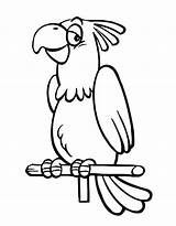 Cartoon Parrot Coloring Page  Download Print Or Color Online For Free sketch template