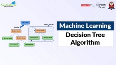 Introduction To Decision Tree Algorithm