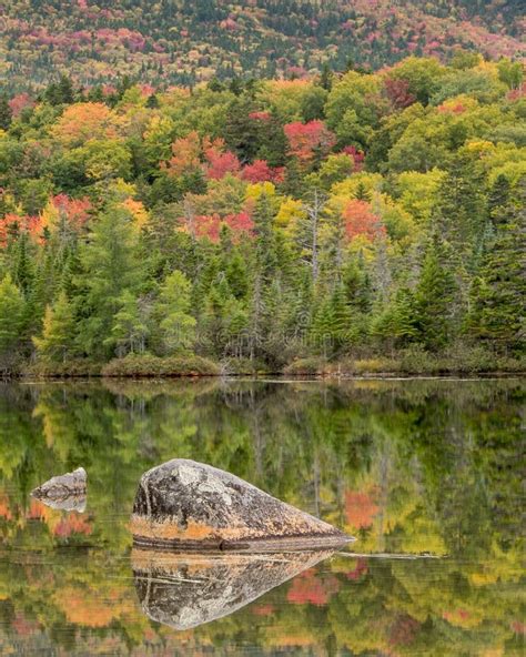 Fall Foliage by a Lake in Northern Maine. Stock Photo - Image of leaves ...