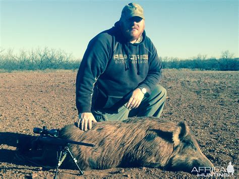 Hog Hunt Texas USA | AfricaHunting.com