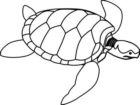 Black and white sea turtle. Clip Art Image - ClipSafari