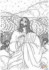 Jesus Prays To His Father The Agony In Garden coloring Page  Free sketch template