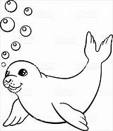 Seal Coloring Pages  ColoringBay sketch template