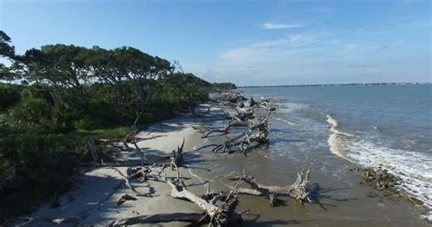 Jekyll Island Driftwood Beach Aerial Stock Footage Video 11913200 | Shutterstock