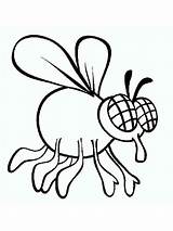 Easy Cartoon Fly coloring Page sketch template