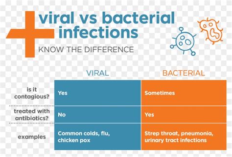 Viral Vs Bacterial Infections Chart - Viral Vs Bacterial Pneumonia, HD ...