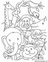 Tropical Rainforest Coloring Pages sketch template