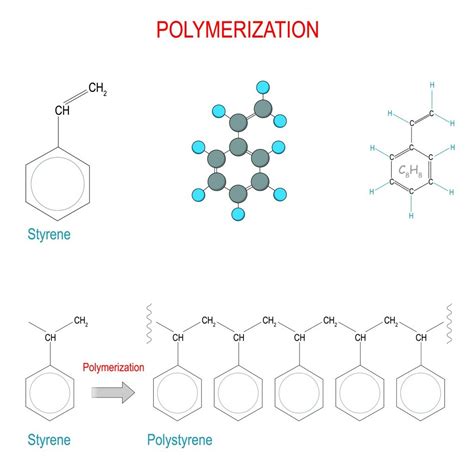 Monomers And Polymers: Definition, Chemical Properties And Differences