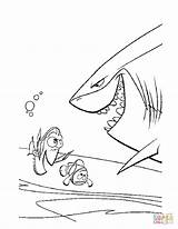 Meet The Shark Bruce coloring Page  Free Printable Coloring Pages sketch template