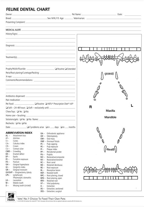 The ‘How To’ of Dental Charting - Hill's Veterinary Nutrition Blog