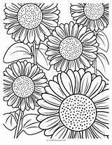 Sunflower Coloring Page Kindergarten At Juana Faller Blog sketch template