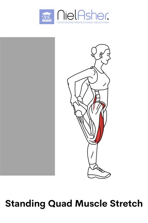 The Unique Trigger Point - Vastus Medialis | Quad muscles, Muscle ...