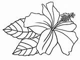 Hibiscus Flower 7 Coloring Page  Free Printable Pages For Kids sketch template