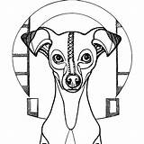 Italian Greyhound Coloring Page · Creative Fabrica sketch template