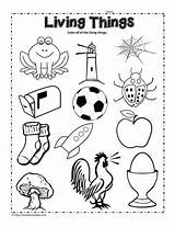 Elements Of Living Things Coloring Pages sketch template