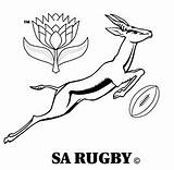 Springbok Rugby Logo Colouring Pages Sketch Coloring Page sketch template