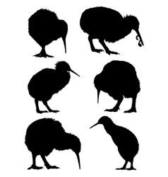 Logo, Kiwi & Bird Vector Images (49)