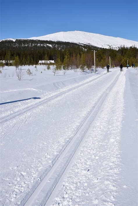 Cross Country Skiing in Finland Stock Image - Image of season, scenery ...