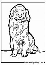 Adorable Dog Coloring Pages Adult Pdf sketch template