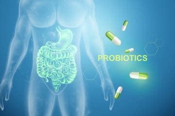 Premium Photo | Image of intestines and pills, inscription probiotics.