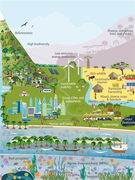 What is climate change adaptation and why is it vital? | World Economic Forum