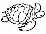 Sea Turtle Coloring Page  Home sketch template