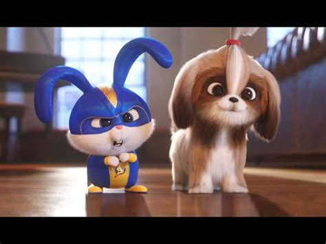 The Secret Life of Pets 2: Honest Parent Review - Movie Time Dad