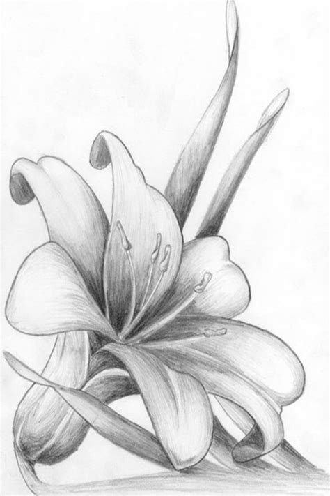 Share more than 75 pencil sketch for flowers latest - seven.edu.vn