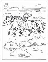 Wild Horse Types Coloring Pages & Book For Kids sketch template