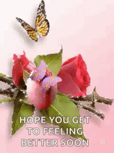 Butterfly Gif, Glitter Roses, Get Well Soon, Get Well Cards, Love Gif, Feel Better, Cool Gifs ...