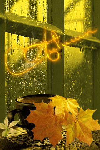 an autumn scene with leaves and a cup on a table in front of a window
