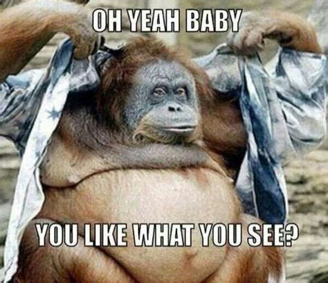 good morning monkey | Good morning beautiful! | Monkeys funny, Funny animals, Gym memes funny