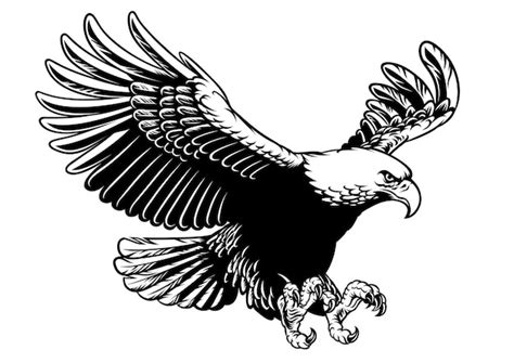 Águila volando en estilo de dibujo a mano en blanco y negro | Vector Premium