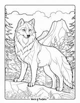 Wolf Coloring Pages For Kids & Adults  World Of Printables sketch template