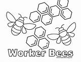 Bee Coloring Pages Free Unleash Your Creativity With Buzzworthy Designs sketch template