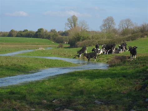 Farm Scene © kevin higgins cc-by-sa/2.0 :: Geograph Britain and Ireland