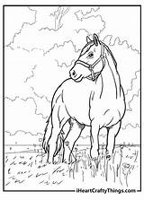 65 Horse Coloring Pages 100% Free Printables sketch template