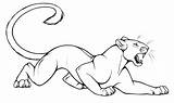 Panter Ausmalbild Pantera Kleurplaat Luipaard Felino Imprimir Dibujar  sketch template