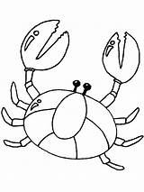 25 Free Crab Coloring Pages For Kids And Adults  Blitsy sketch template