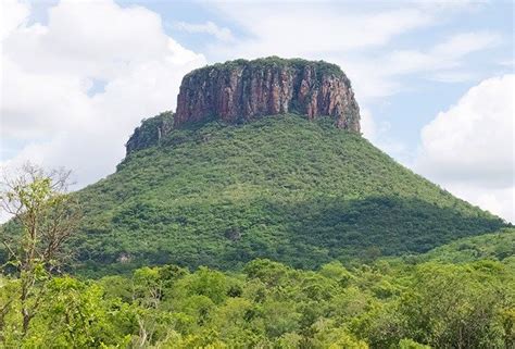 an elephant is standing in front of a large mountain with trees on it's ...