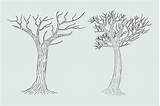 Hand Drawn Winter Bare Tree Sketch Vector Trees Leafless Dead Old  sketch template