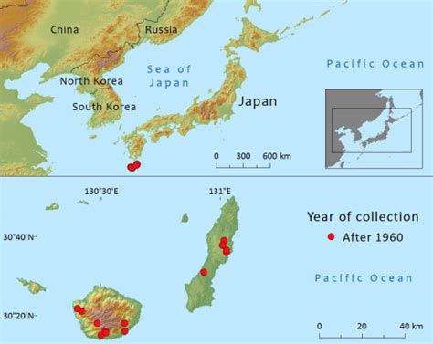 Island biogeography; speciation in an endangered Japanese Pine and a newly discovered ...