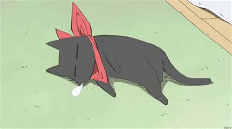 Cat Lazy GIF - Cat Lazy Anime - Discover & Share GIFs