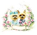 Yorkshire Terrier Dog Card Free Stock Photo - Public Domain Pictures